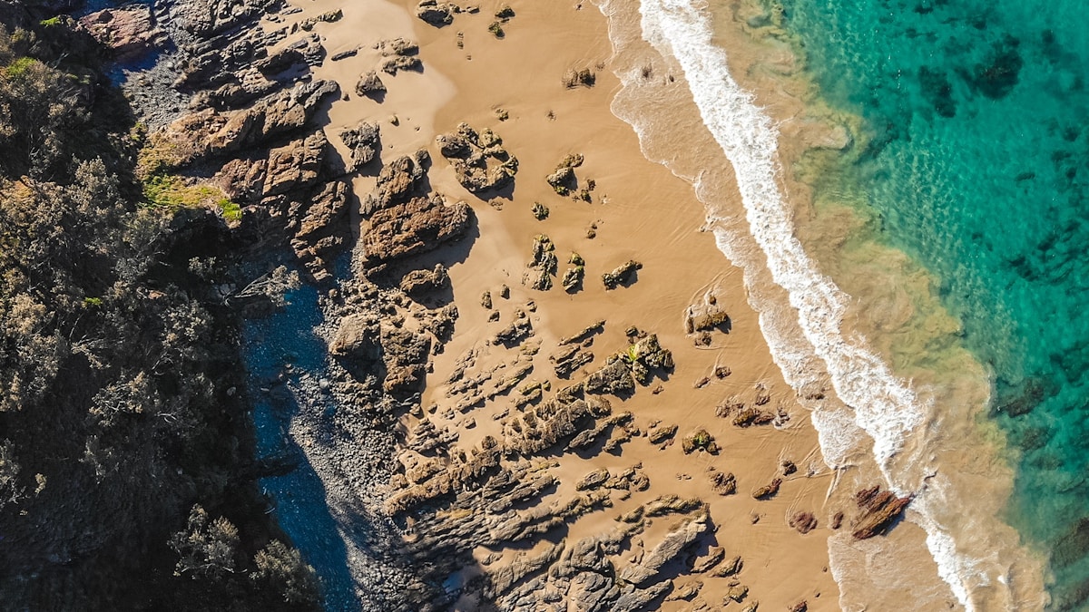 Humanoid robots performing at China Spring Festival Gala
